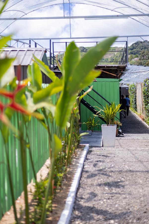 Glamz Hills Hotell Cameron Highlands Eksteriør bilde